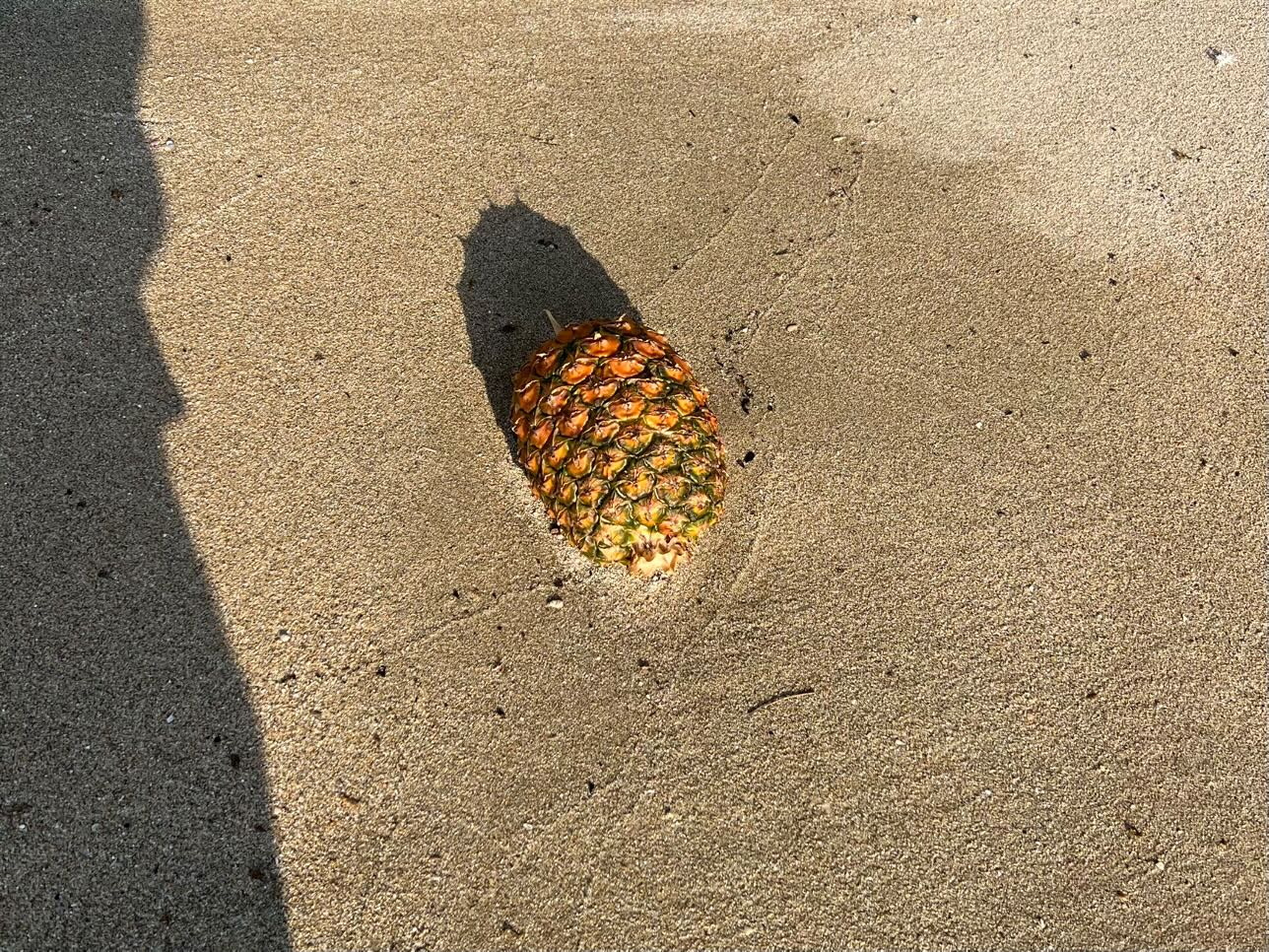 当ブランドが意識する海への活動